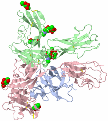 Image Asym./Biol. Unit