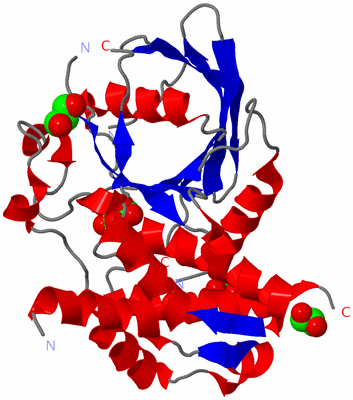 Image Asym./Biol. Unit