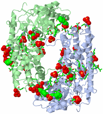 Image Asym./Biol. Unit - sites