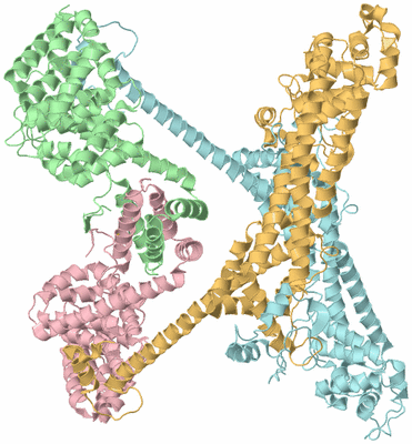 Image Biological Unit 2