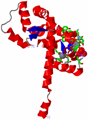 Image Asym. Unit - sites