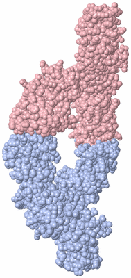 Image Biological Unit 5