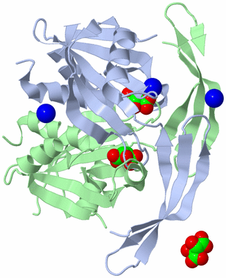 Image Biological Unit 1