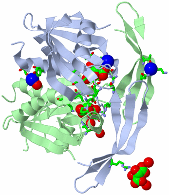 Image Biol. Unit 1 - sites