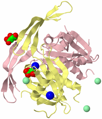 Image Biological Unit 2