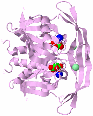 Image Biological Unit 3