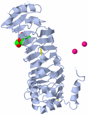 Image Biological Unit 1