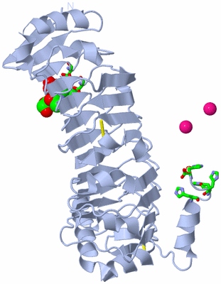 Image Biol. Unit 1 - sites