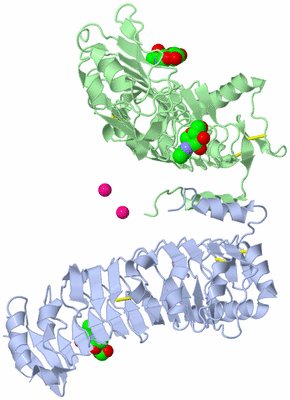 Image Biological Unit 3