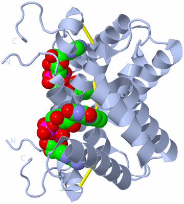 Image Biological Unit 1