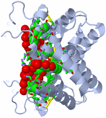 Image Biol. Unit 1 - sites