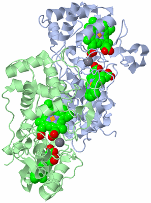 Image Biological Unit 1