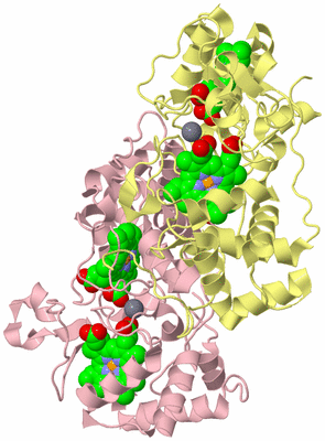 Image Biological Unit 2