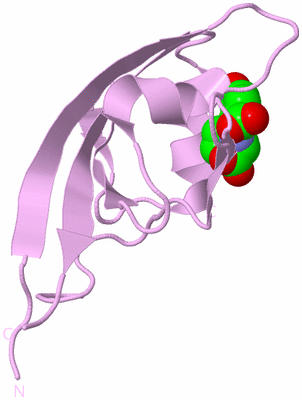 Image Biological Unit 6