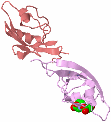 Image Biological Unit 9