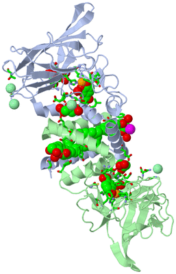 Image Asym./Biol. Unit - sites