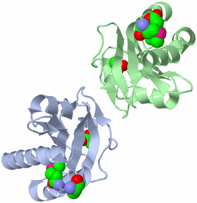 Image Biological Unit 3