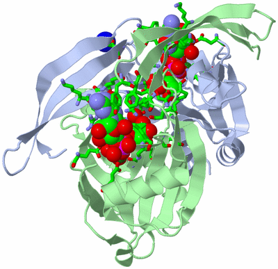 Image Biol. Unit 1 - sites