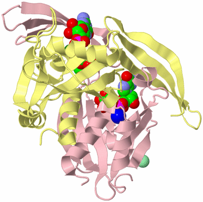 Image Biological Unit 2