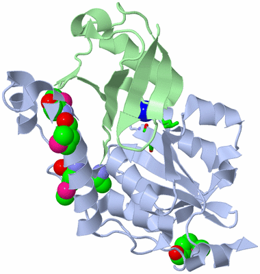 Image Biol. Unit 1 - sites