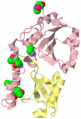 Image Biological Unit 2