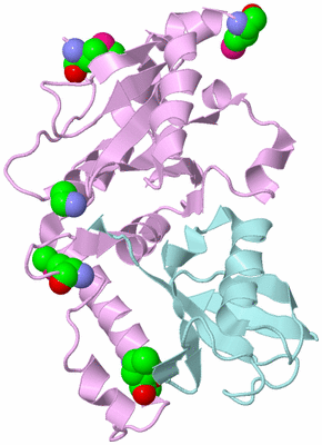 Image Biological Unit 3