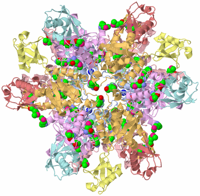 Image Biological Unit 5