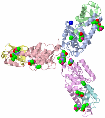 Image Biological Unit 6