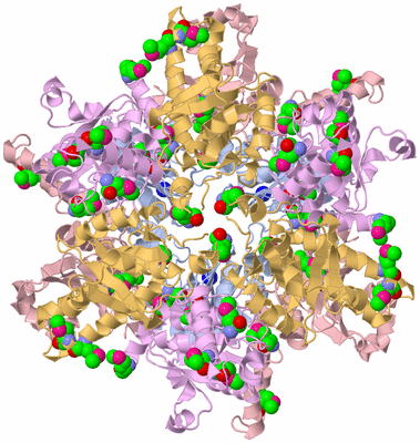 Image Biological Unit 7