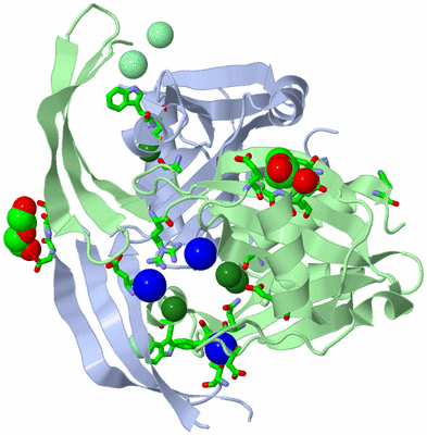 Image Asym./Biol. Unit - sites