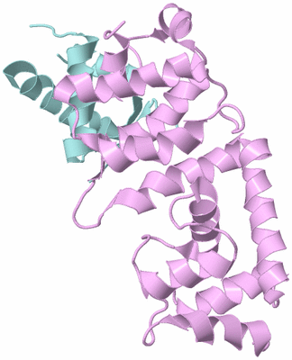 Image Biological Unit 3