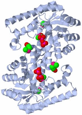 Image Biological Unit 1