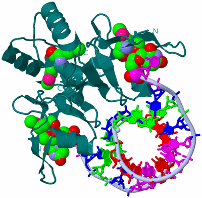 Image Biological Unit 1