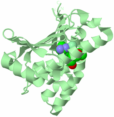 Image Biological Unit 2