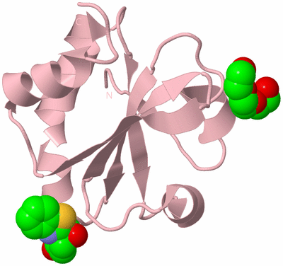 Image Biological Unit 3