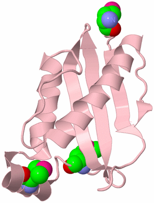 Image Biological Unit 3