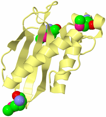 Image Biological Unit 4