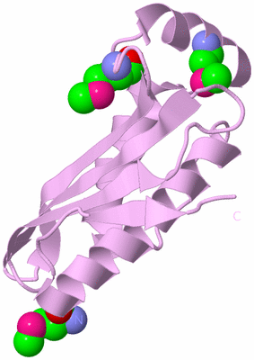 Image Biological Unit 5