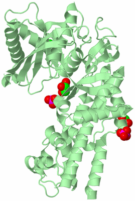 Image Biological Unit 2