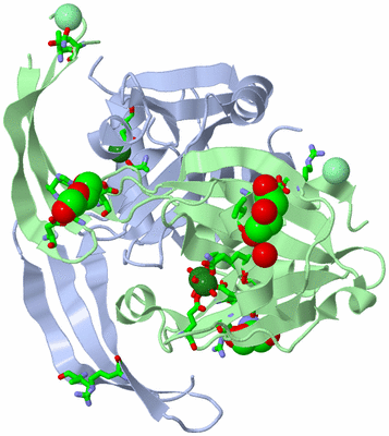 Image Asym./Biol. Unit - sites