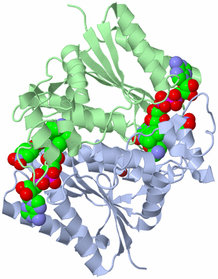 Image Asym./Biol. Unit