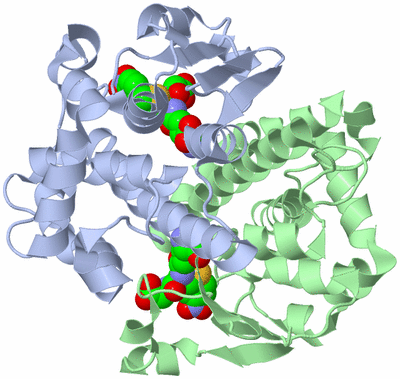 Image Asym./Biol. Unit