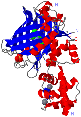 Image Asym./Biol. Unit