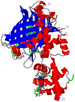 Image Asym./Biol. Unit - sites