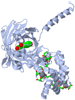 Image Biol. Unit 1 - sites