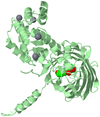 Image Biological Unit 2