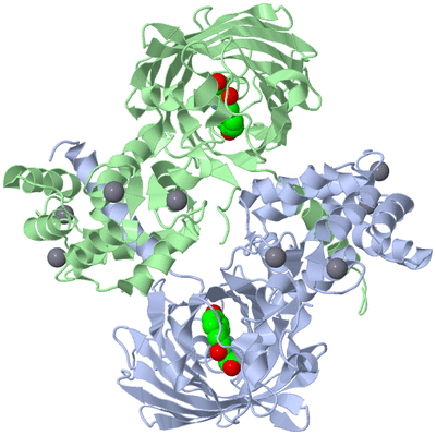 Image Biological Unit 3