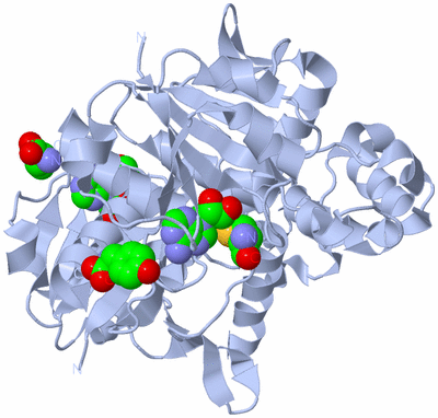 Image Biological Unit 1