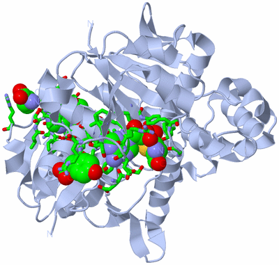 Image Biol. Unit 1 - sites