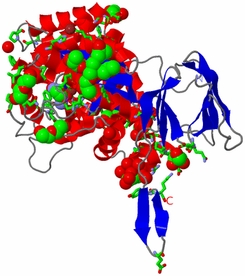 Image Asym. Unit - sites